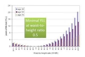 Waist-to-Height Ratio Is More Predictive of Years of Life Lost than Body Mass Index [2]