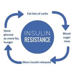 Part 1 What Is Insulin Resistance Part 1 What Is Insulin Resistance