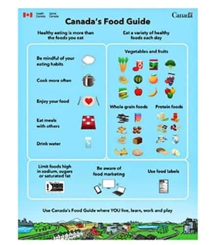 New Canada Food Guide Drops Meat and Milk Groups