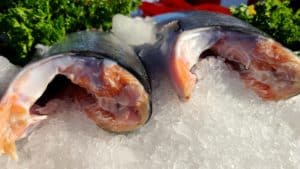 nutritional supplements - salmon as a source of vitamin D