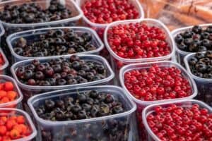berries to neutralize 2-noneal