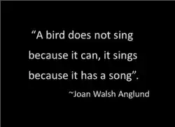 A-bird-does-not-sing-quote