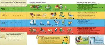 Canada Food Guide 2007